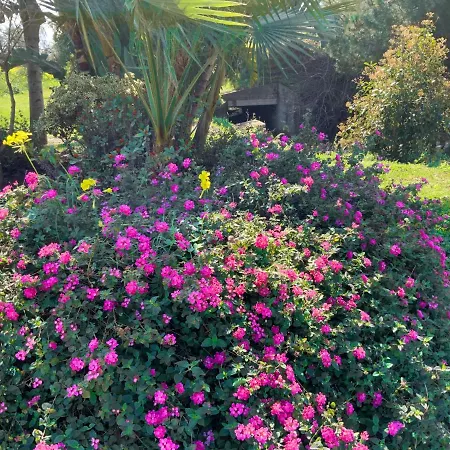 Casa Claudina-sea View, Direct Access To Pool, Walk To And Restaurants Apartment