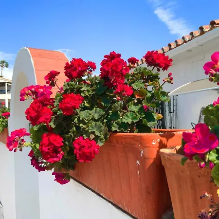 Apartment Casa Claudina-sea View, Direct Access To Pool, Walk To And Restaurants *